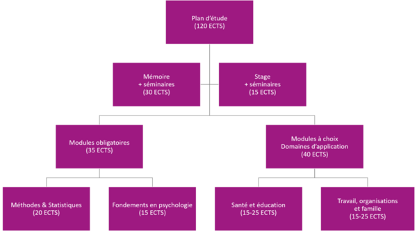 Représentation graphique de la répartition des ECTS du Master en psychologie