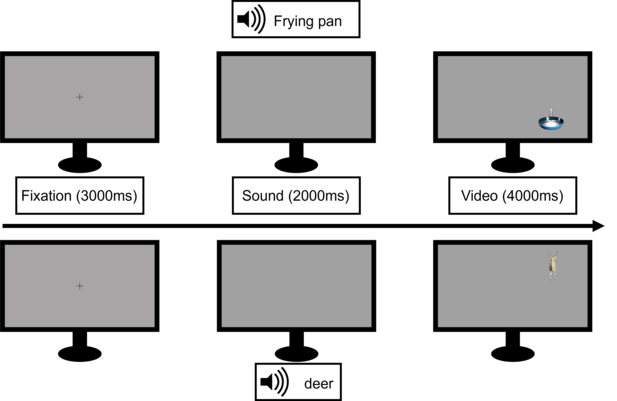 Graphical illustration of the encoding phase of the study. Participants are presented with videos of 3D objects and animals positioned on different quadrants of the screen. The stimuli were prepared by Deian Popic. Part of the stimuli comes from our recently developed database of virtual objects to be used in psychological re-search (Popic et al., 2021). In a second phase, participants are asked to visualize these objects (e.g., a pan) and animals (e.g., a deer) while eye data and other behavioral data are collected.
